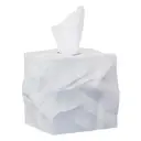 Kategorie Boxy na kapesníky
