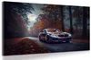 BMW Měsíc v úplňku - umělecký obraz