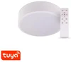 Chytré LED svítidlo RENDO 24W CCT Tuya Bluetooth
