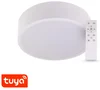 Chytré LED svítidlo RENDO 36W CCT Tuya Bluetooth
