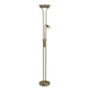 Detroit Bronzed Floor Lamp with Metal Shade