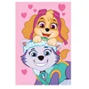 Dětská fleece deka Paw Patrol 100x150 cm