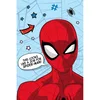 Dětská mikroflanelová deka Spiderman 100x150 cm