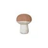 Dětský polštářek Boletus od Lorena Canals