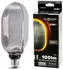 Elegantní LED žárovka E27 O100 Series - ZERO Collection 4W 100lm