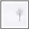 Elegantní zimní strom - 30x30 cm Umělecký obraz