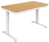 Elektrický studentský stůl Workstation s nastavitelnou výškou