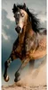 Hnědá osuška s motivem koně 70x140 cm Faro