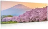 Japonský panoramatický obraz