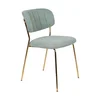 Jídelní židle Jolien 2ks světle zelená