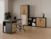 Kancelářská sestava NEJBY GIANNI PREMIUM 2 – antracit/dub wotan