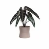 Keramický květináč Diana, 14 cm
