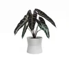 Keramický květináč Diana 20 cm