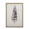 Korálová botanická ilustrace s rámem