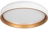LED stropní svítidlo SOLN 17,5W bílá/zlatá