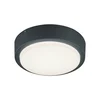 LED venkovní nástěnné svítidlo Berg 20 cm Trio