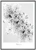 Mahonia - Moderní umělecký tisk 50x70 cm