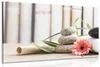 Meditativní wellness obraz na plátně