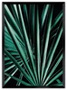 Moderní Botanický Plakát s Palmovým Motivem