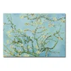 Nástěnná reprodukce Van Gogh Almond Blossom 100x70 cm