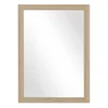Nástěnné zrcadlo Sylwia 57x77 cm