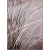 Obraz 50x70 cm Mellow Grasses
