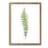 Obraz Greenery 30x40 cm