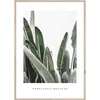 Obraz Strelitzia 50x70 cm