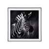 Obraz Zebra 50x50 cm