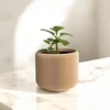 Plantbee Květináč Umbert 16cm Fialový