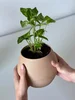 Plantbee Samozavlažovací květináč Gris pískový
