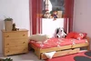 Postel MAYSON 90x200 cm s roštem – masiv borovice/moření olše