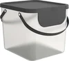 Rotho Albula Box 40 l, transparentní