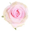 Růže vazbová KUM3311-PINK, 12 ks