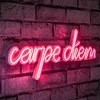 Růžové LED neon dekorativní osvětlení NN01581