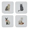 Sada 4 modrých podtácků Curious Cats