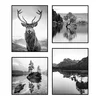 Sada 4 obrazů Wild 30x40 a 30x30 cm