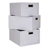 Sada šedých úložných boxů Bigso Box of Sweden (3 ks)