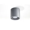 Šedé stropní svítidlo Nice Lamps Roda