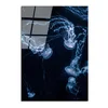 Skleněný obraz Jelly Fish 70x100 cm