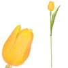 Tulipán žlutý Autronic SG60104 YEL