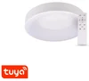 Tuya WiFi LED Panel Zulu 32W CCT