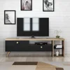 TV stolek RAGDOLL černá/dub