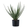 Umělá Aloe Vera 51 cm