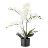 Umělá orchidej 84 cm Bloomingville