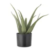 Umělá rostlina Aloe od Bloomingville