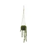Umělá rostlina Senecio, výška 37 cm