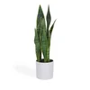 Umělá Sansevieria 55 cm