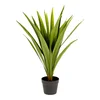 Umělá Yucca 80 cm