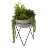 Umělý sukulent Fiori 36 cm